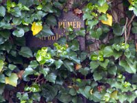 02 Hültl Hümér dr